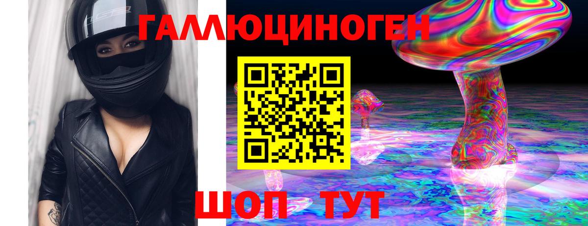 Новомосковск  Псилоцибиновые грибы Psilocybe  Вход с VPN 